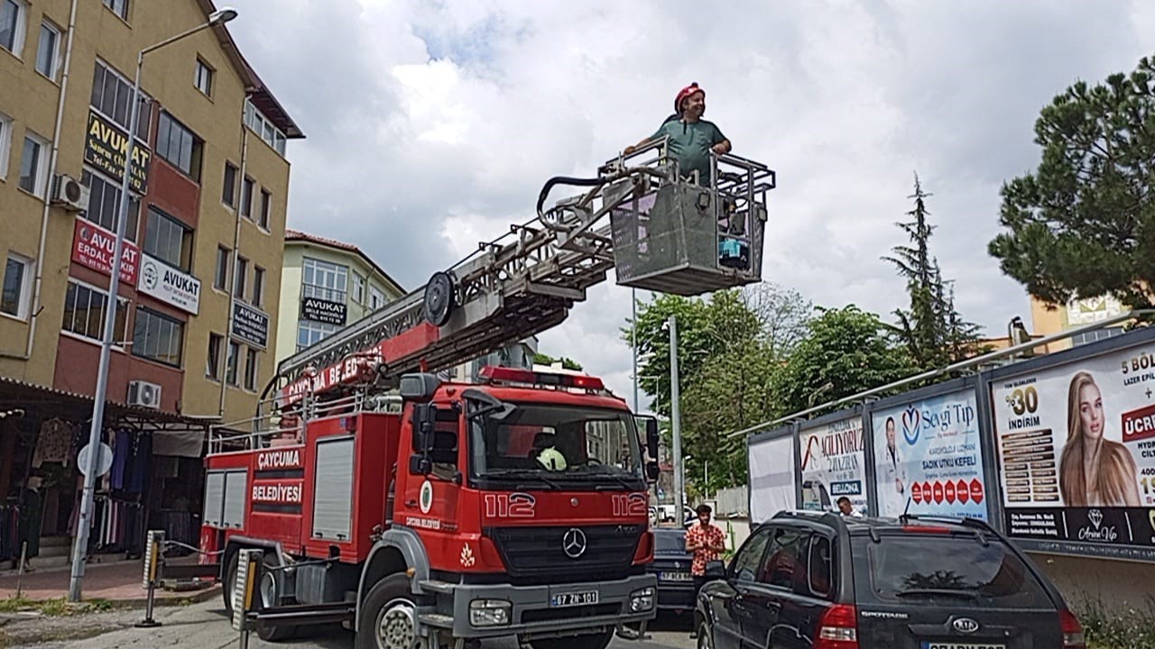 ZONGULDAK’IN ÇAYCUMA İLÇESİNDE KARGADAN KAÇARKEN AĞACA TIRMANAN YAVRU KEDİ YERE