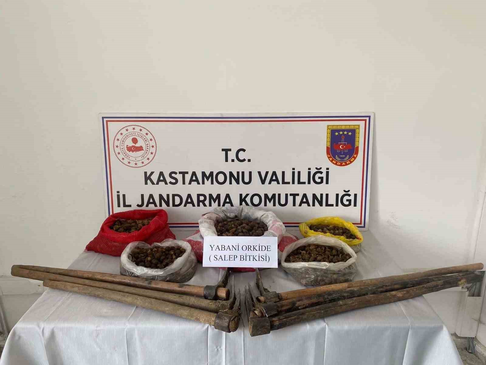 KASTAMONU’NUN SEYDİLER İLÇESİNDE NESLİ TEHLİKE ALTINDAKİ TÜRLER LİSTESİNDE BULUNAN VE