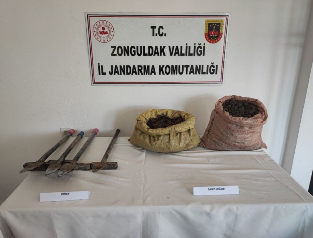 ZONGULDAK - ZONGULDAK’IN EREĞLİ İLÇESİNDE, ZONGULDAK İL JANDARMA KOMUTANLIĞI EKİPLERİNCE