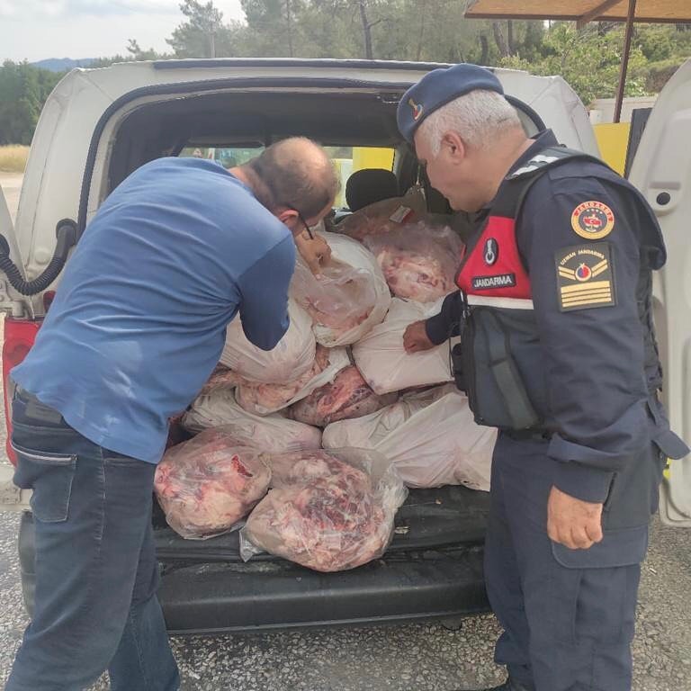 KÖYCEĞİZ’DE KAÇAK HAYVANSAL ÜRÜNLER ELE GEÇİRİLDİ
