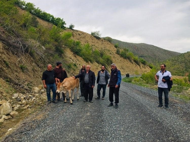 ELAZIĞ’DA OTLARKEN UÇURUMA İNEN İNEK,KÖYLÜLER TARAFINDAN KURTARILDI.