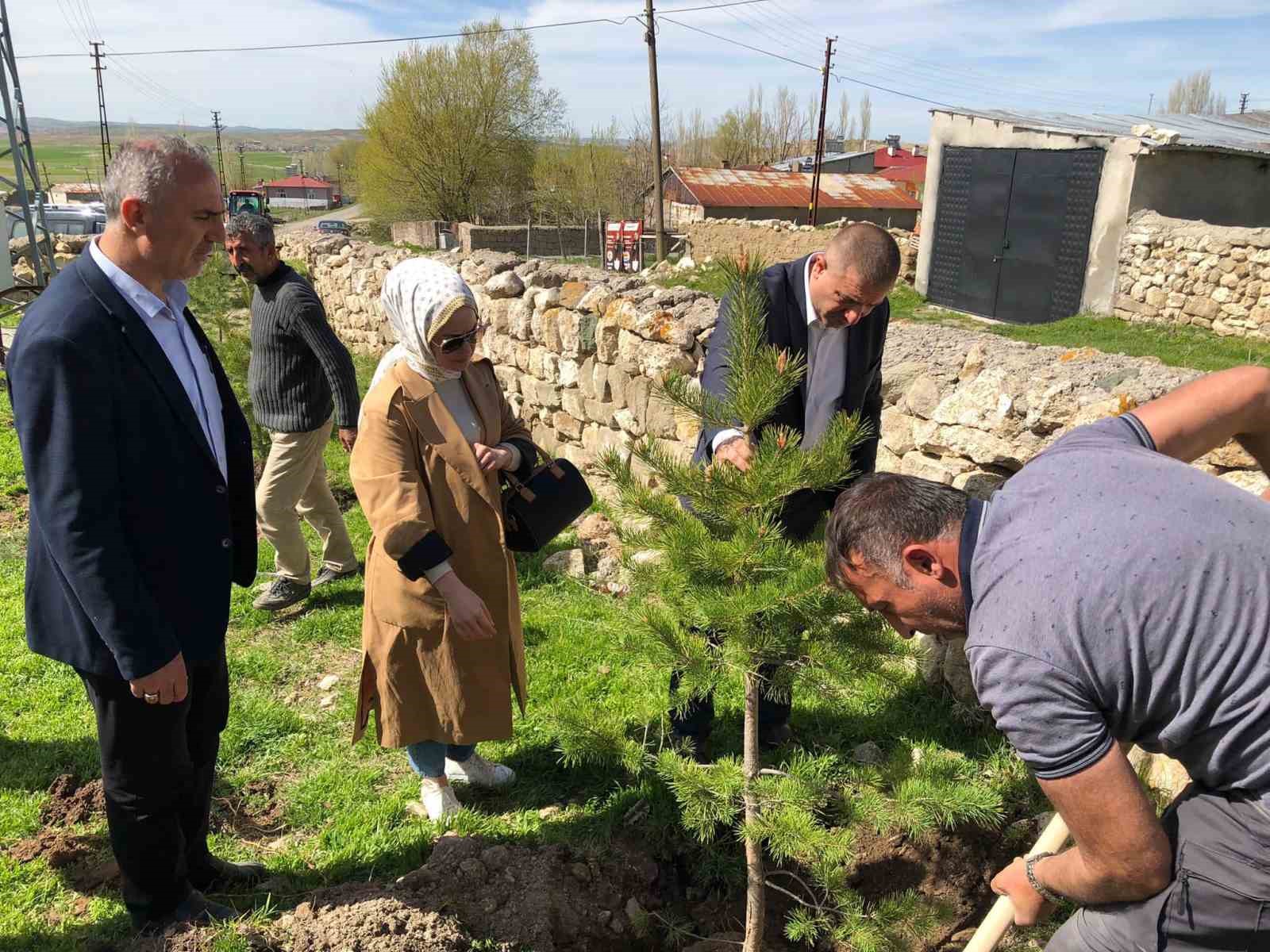 KÜPELİ KÖYÜNDE FİDANLAR TOPRAKLA BULUŞTU
