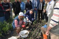 BALIKESİR’İN EDREMİT İLÇE HALK EĞİTİM MERKEZİ MÜDÜRLÜĞÜ İLE EDREMİT ZEYTİNCİLİK