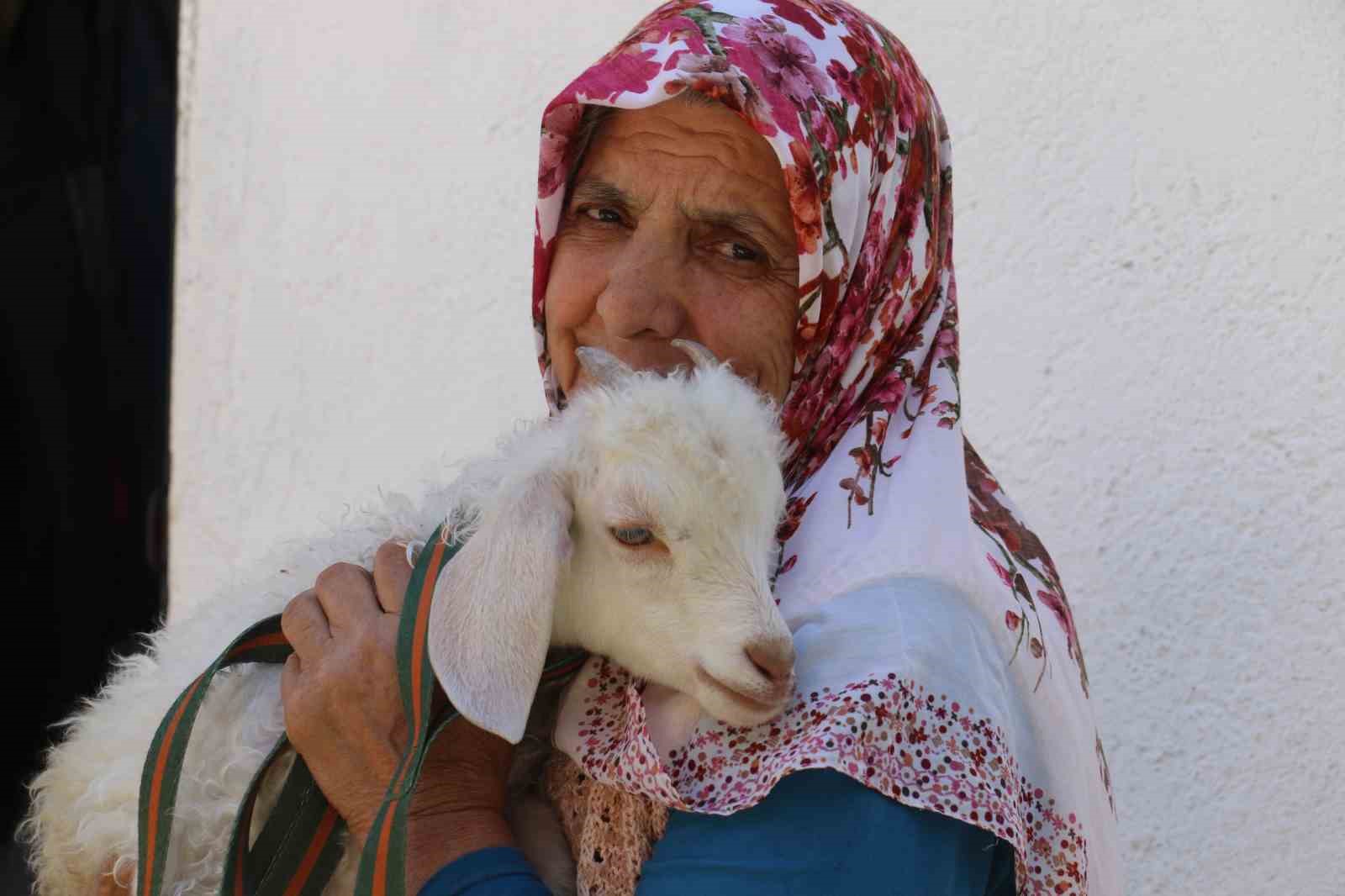 ANKARA’DA YAŞAYAN 70 YAŞINDAKİ MEDİNE KARA, “BEBEK” GİBİ BAKTIĞI KUZUSUNU