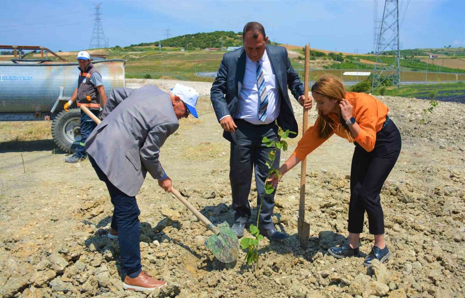 ÇANAKKALE'NİN LAPSEKİ İLÇESİNDE, LAPSEKİ BELEDİYESİ B TİPİ MESİRE ALANI’NDA AĞAÇLANDIRMA