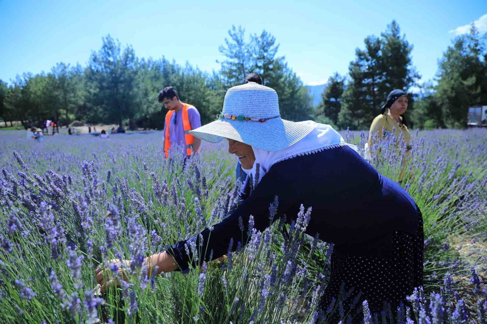 MUĞLA BÜYÜKŞEHİR BELEDİYESİ’NİN MENTEŞE YENİKÖY MAHALLESİ’NDE HAYATA GEÇİRDİĞİ TIBBİ-AROMATİK BİTKİLER