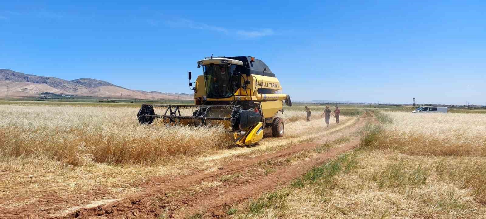 GÜNEYDOĞU ANADOLU BÖLGESİ'NİN ÖNDE GELEN HUBUBAT MERKEZLERİNDEN MARDİN'DE ARPA HASADI