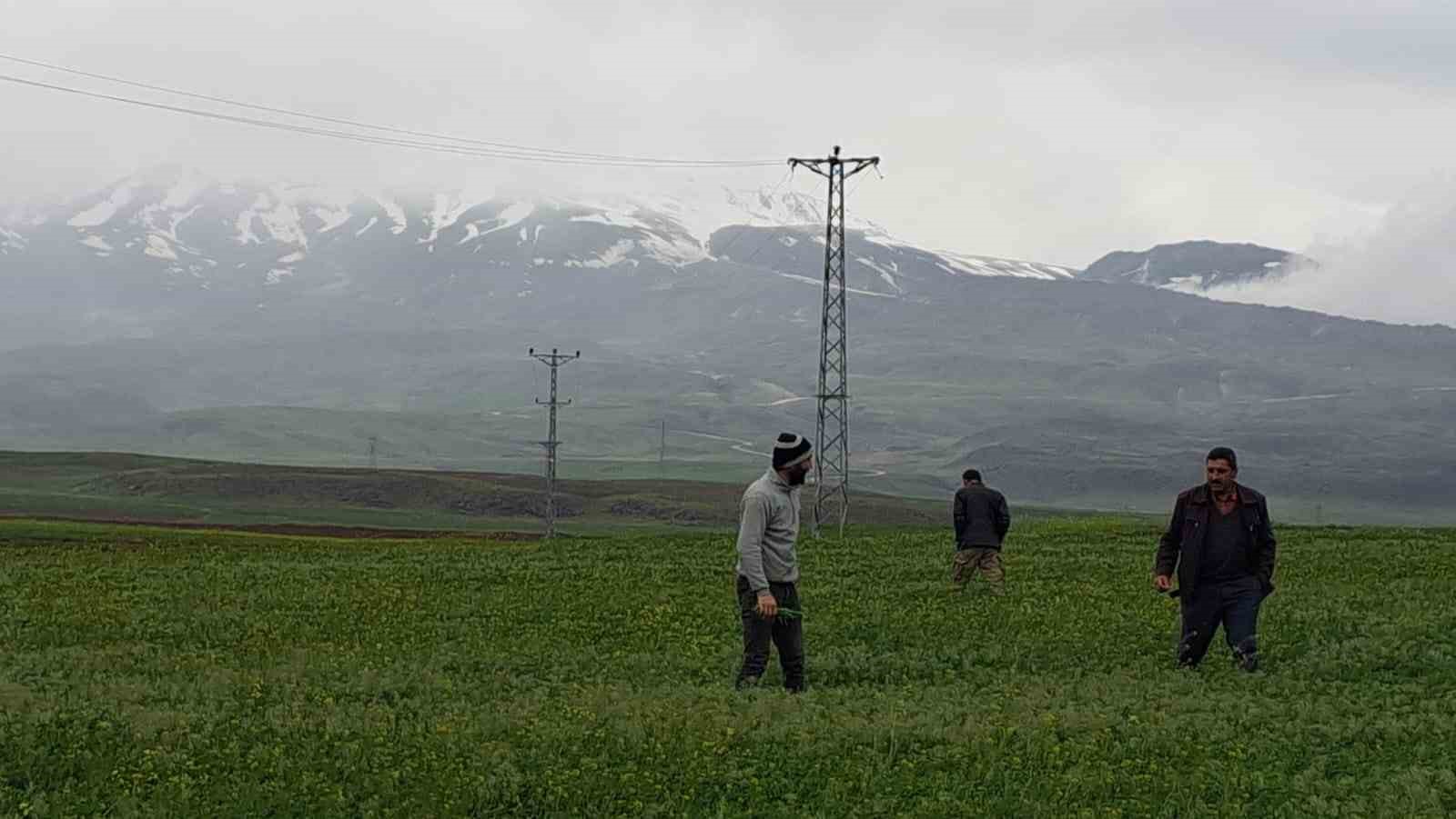 BİTLİS'İN ADİLCEVAZ İLÇESİNİN YÜKSEK KESİMLERİNE MAYIS AYINDA KAR YAĞDI
