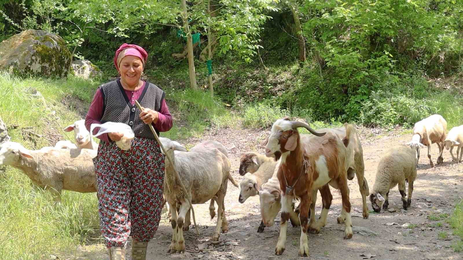 MERKEZEFENDİ BELEDİYESİ'NDE 'KIRSAL KALKINMA EYLEN PLANI' DAHİLİNDE KADIN ÜRETİCİLERE DAĞITILAN