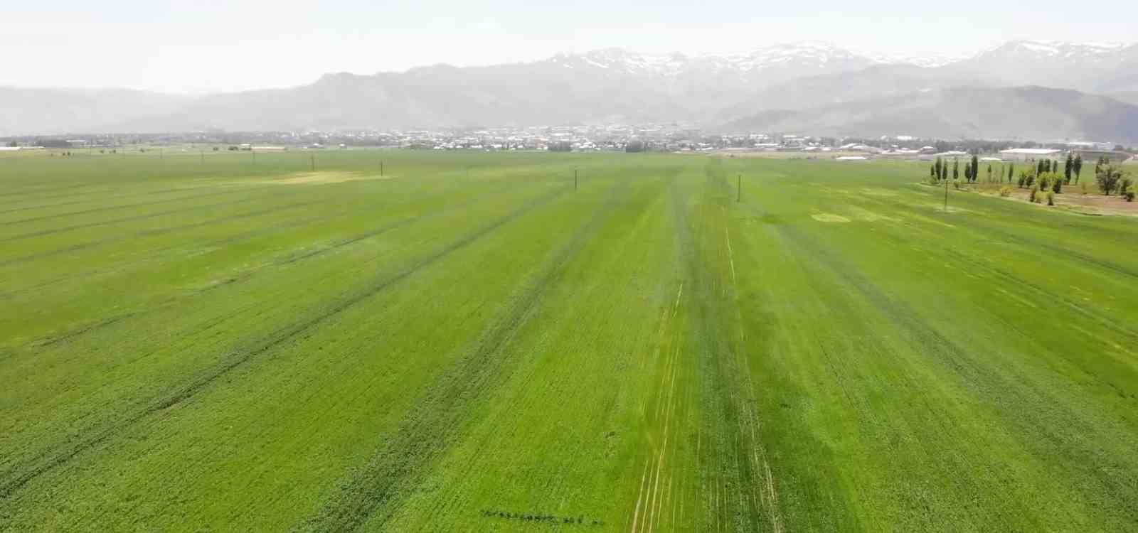 MUŞ, TARIM VE HAYVANLIĞIN YANINDA SANAYİ VE TURİZMDE DE ATAĞA