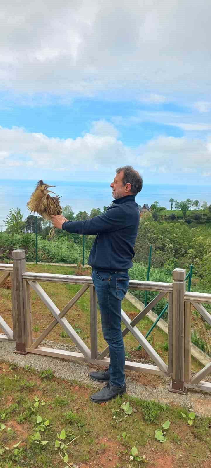 ARHAVİ’DE, DÜNYADA NESLİ TÜKENMEKTE OLAN KUŞLAR LİSTESİNDE YER ALAN BALABAN