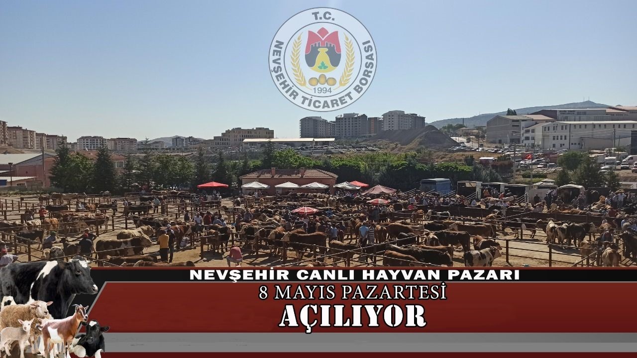 NEVŞEHİR TİCARET BORSASI’NA AİT NEVŞEHİR CANLI HAYVAN PAZARI YENİDEN AÇILIYOR.