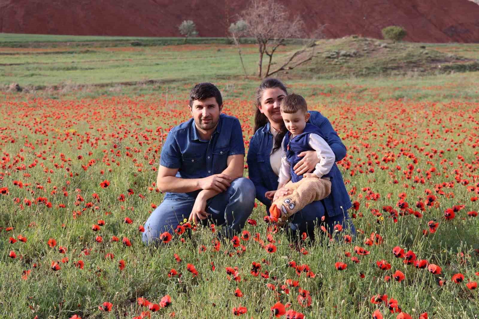 OLTU İLÇESİNE BAĞLI DUTLU KÖYÜNÜN TARLALARINDA  AÇAN KIRMIZI GELİNCİKLER