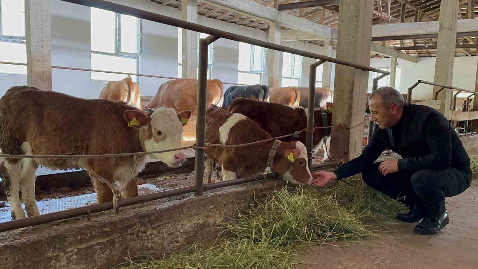 ORDU VALİSİ TUNCAY SONEL, BÜYÜKBAŞ VE KÜÇÜKBAŞ HAYVANCILIK İŞLETMELERİNE YÖNELİK