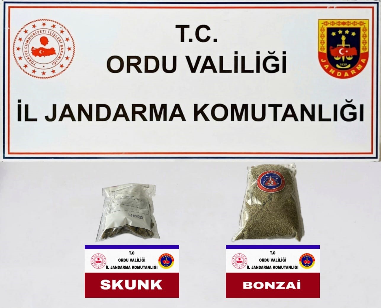 ORDU’DA JANDARMA EKİPLERİ TARAFINDAN UYUŞTURUCUYA YÖNELİK YAPILAN ÇALIŞMALAR ÇERÇEVESİNDE 2