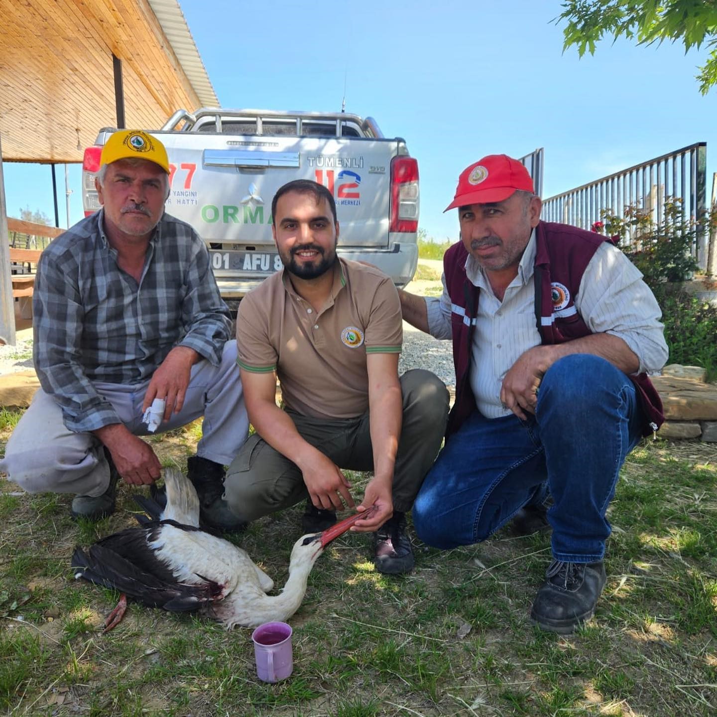 ADANA’NIN KARAİSALI İLÇESİNDE ARAZİ ÇALIŞMALARINDA YARALI BİR LEYLEK BULAN ORMAN