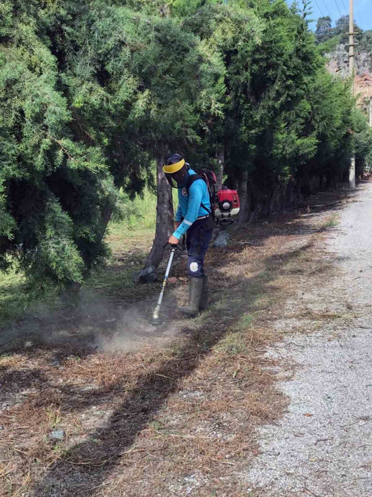 MUĞLA’NIN ORTACA İLÇESİ GENELİNDE BELEDİYE EKİPLERİ TARAFINDAN TEMİZLİK, BUDAMA VE