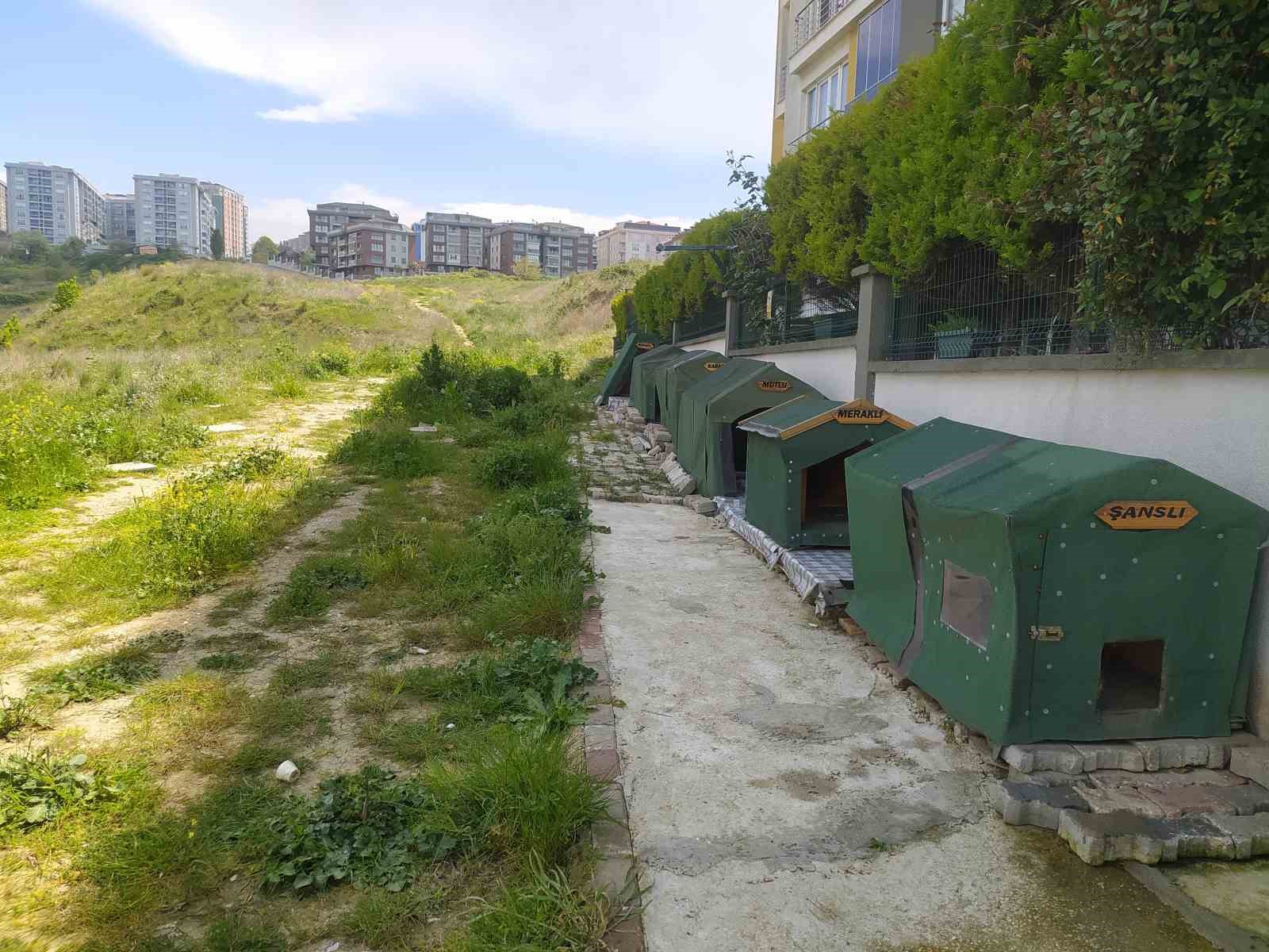 BÜYÜKÇEKMECE’DE ARAÇ SÜRÜCÜSÜ, YOL KENARINDA YATAN KÖPEĞİ EZEREK KAÇTI. ÇEVREDEKİ