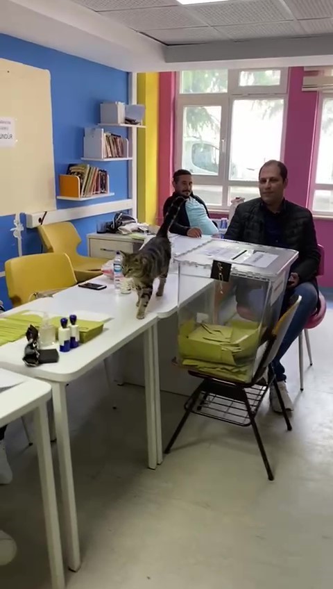 AMASYA’NIN GÜMÜŞHACIKÖY İLÇESİNDE VATANDAŞLARIN OY KULLANDIĞI SANDIĞIN BAŞINA BU SEFER