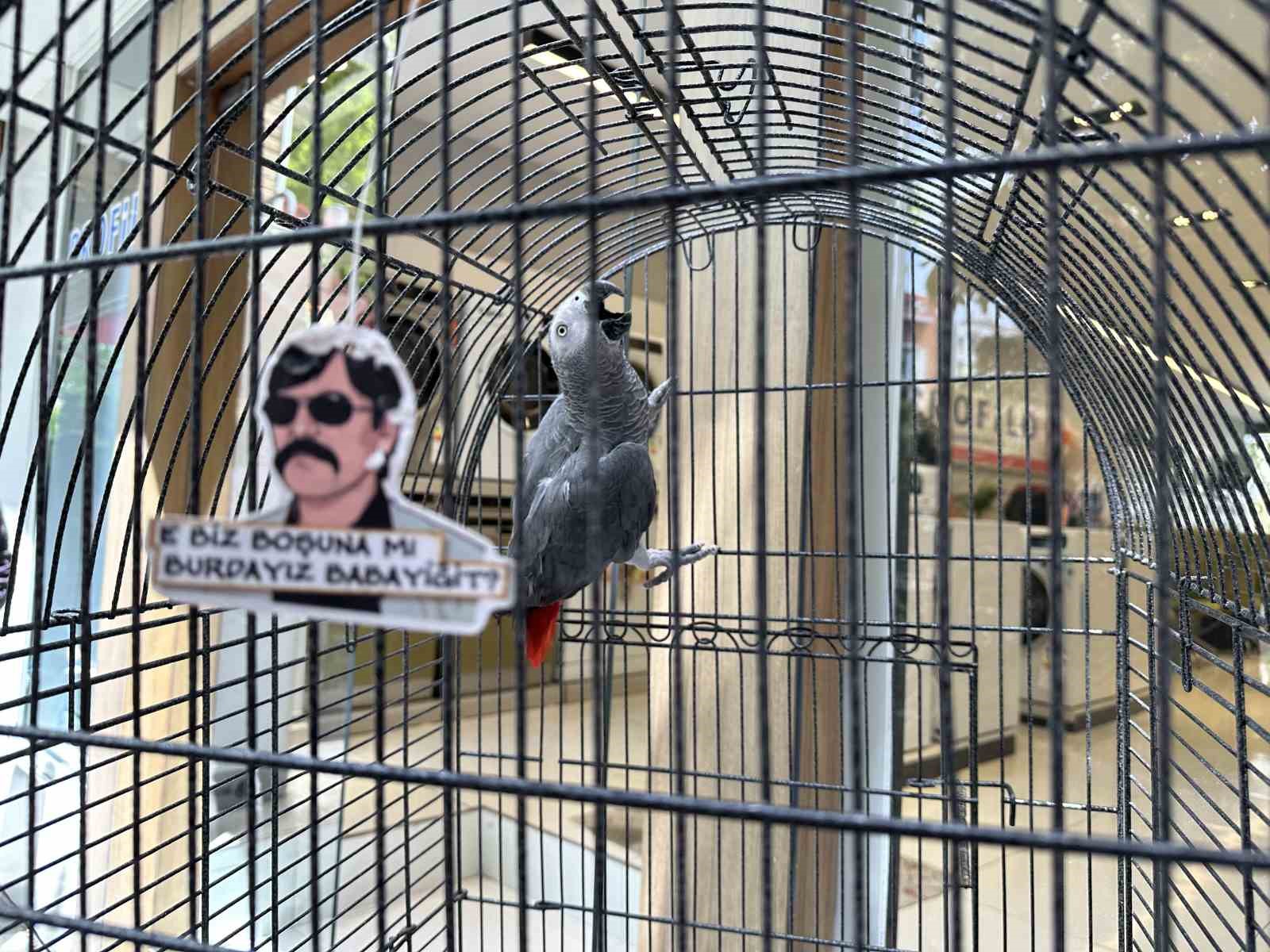 ESNAF RUŞEN ALİ CAN'IN DÜKKANINA MASKOT OLMASI İÇİN ADANA’DAN ALDIĞI