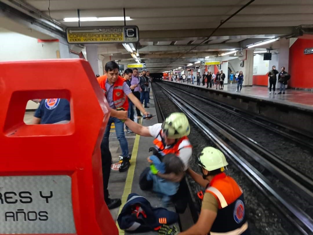 RAYLARA GİREN TAVUK METRO SEFERLERİNİ AKSATTI