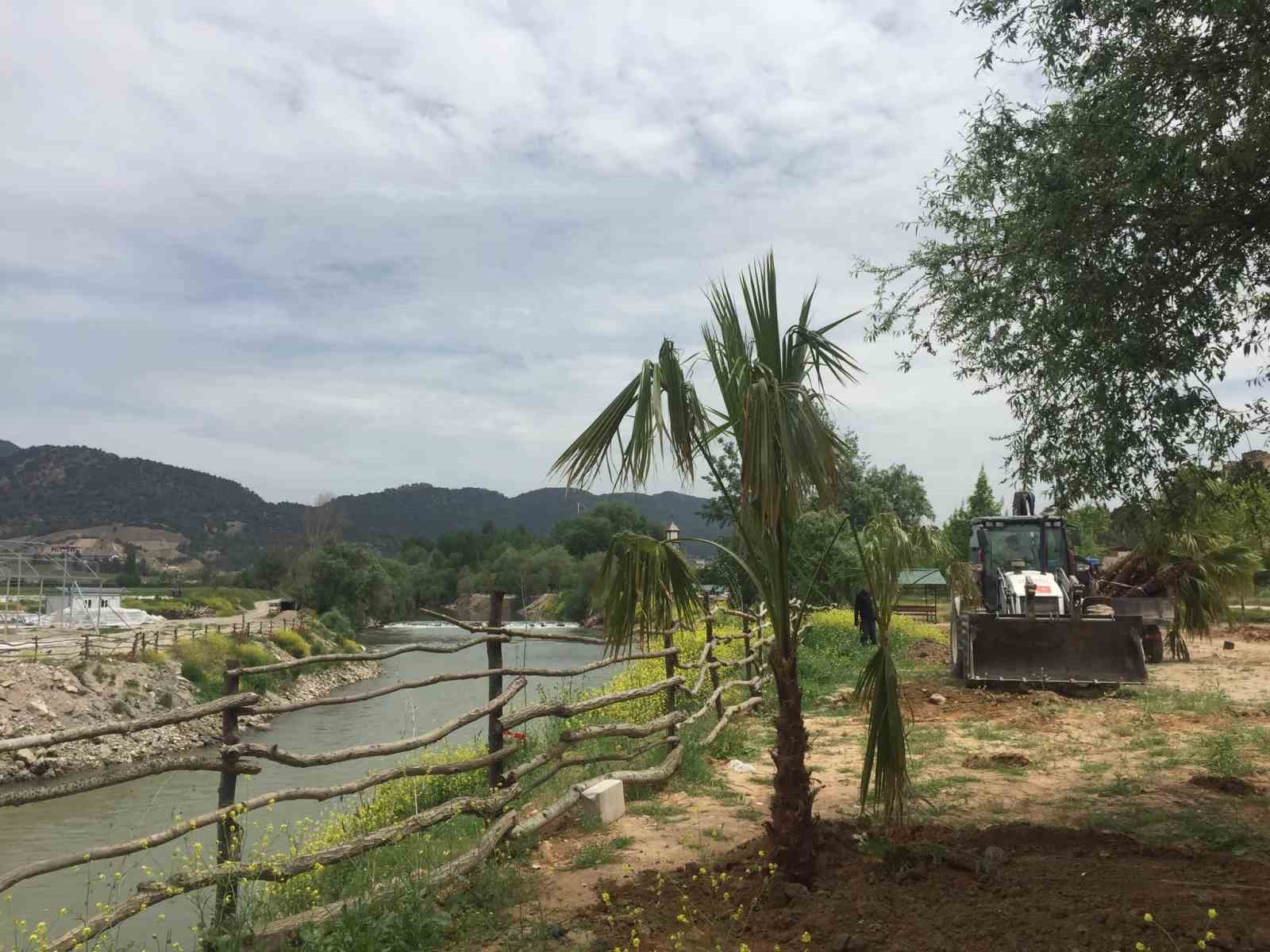BİLECİK’İN OSMANELİ İLÇESİNDE SAKARYA NEHRİ’NİN KIYISINA PALMİYE AĞAÇLARI DİKİLDİ