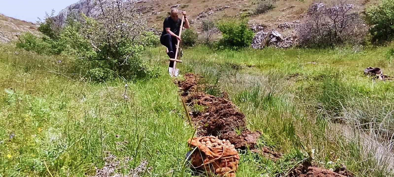 ELAZIĞ'DA SALEP SOĞANI TOPLAYAN 6 KİŞİ EKİPLER  TARAFINDAN YAKALANIRKEN,