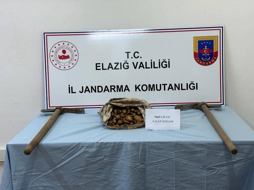 ELAZIĞ’DA JANDARMA EKİPLERİ TARAFINDAN YAPILAN ÇALIŞMADA, 5 KİLO 665 GRAM