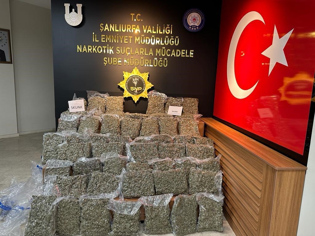 ŞANLIURFA'DA 50 KİLOGRAM SKUNK ELE GEÇİRİLDİ