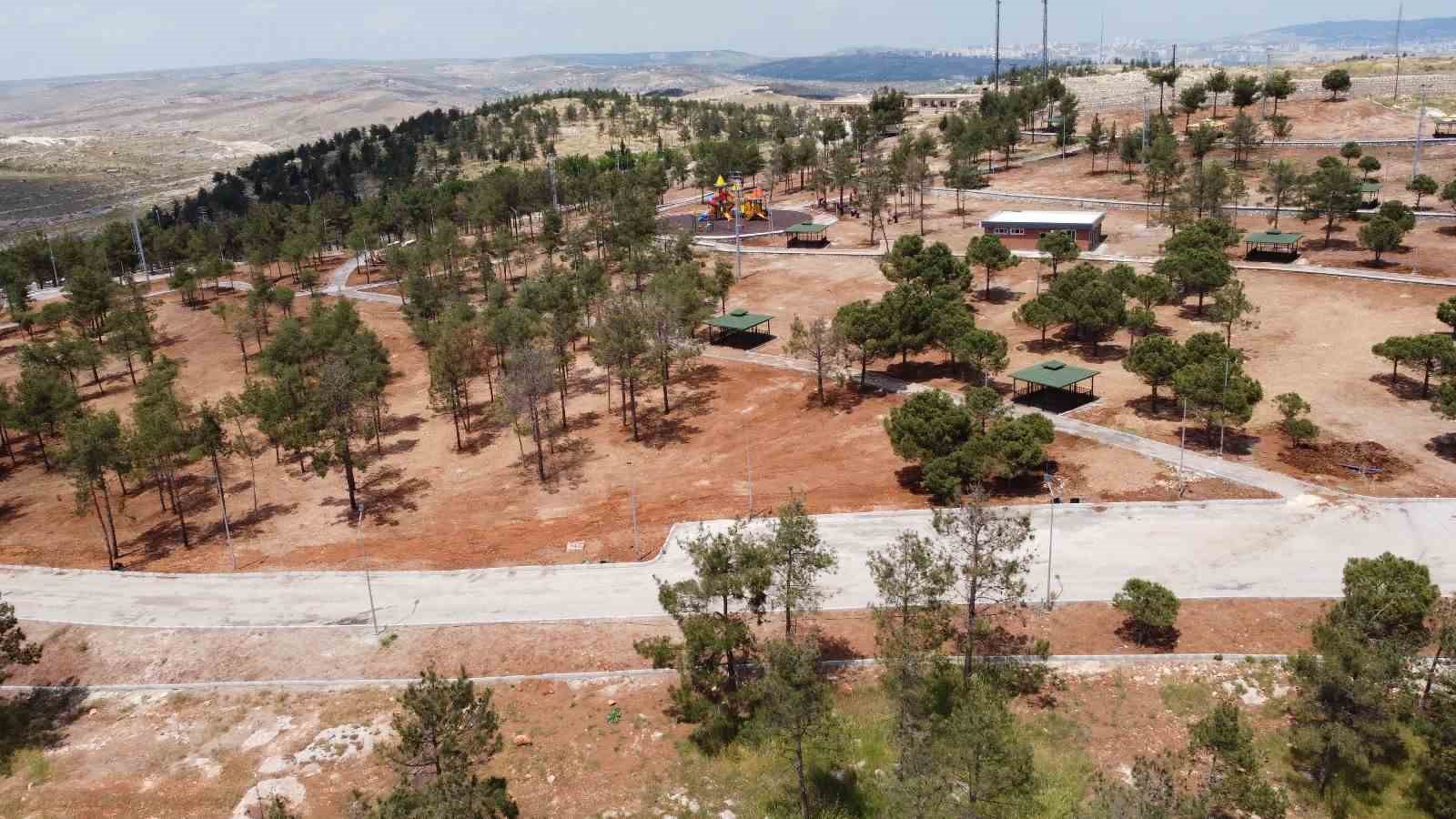 ŞANLIURFA’YA YENİ YEŞİL ALANLAR KAZANDIRILIYOR