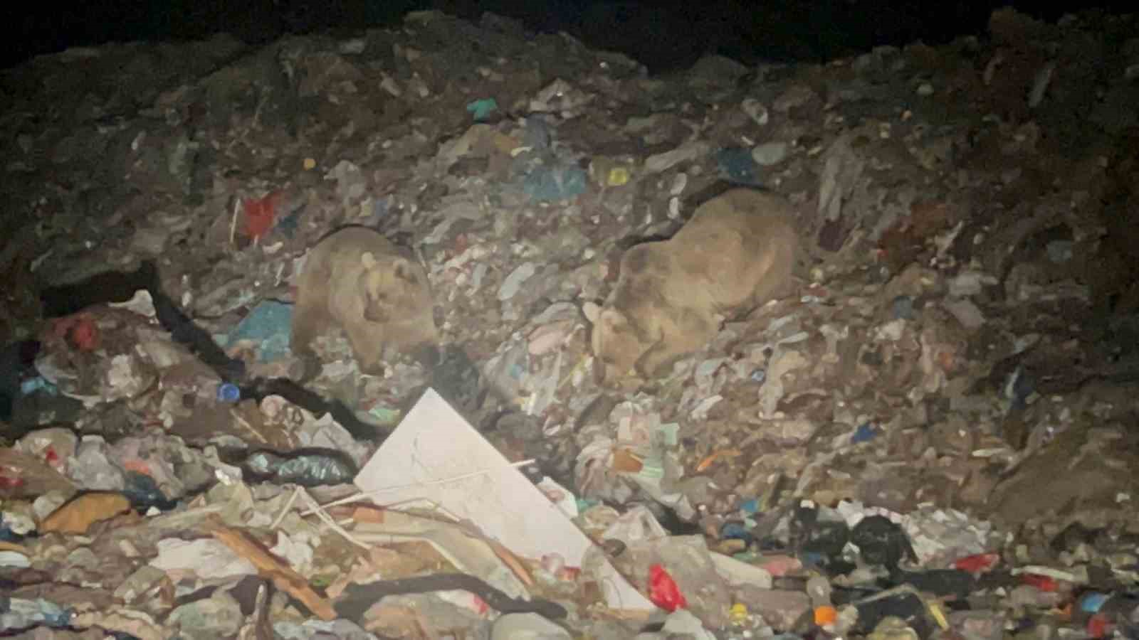 KIŞ UYKUSUNDAN UYANAN AYILAR, KARINLARINI DOYURMAK ÜZERE SOLUĞU İLÇE ÇÖPLÜĞÜNDE