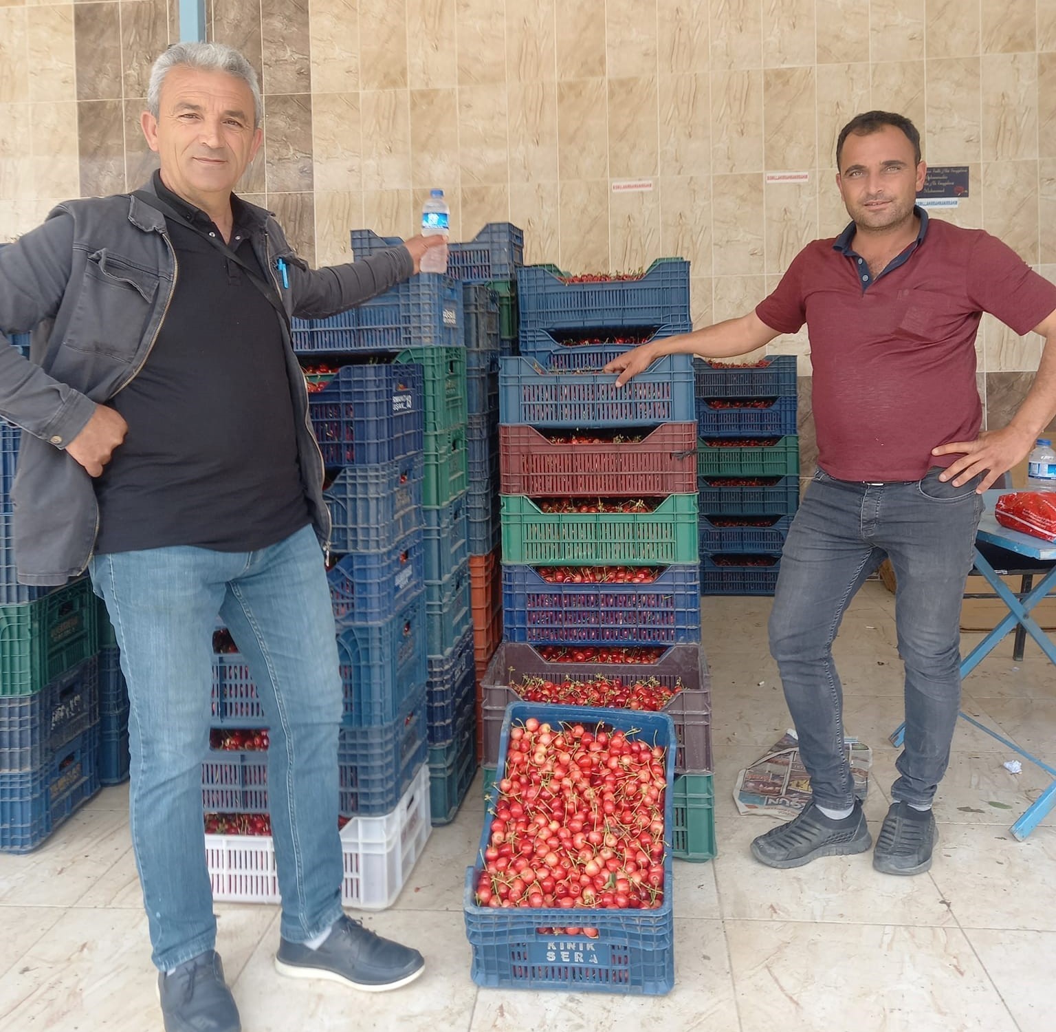 MANİSA’NIN ÖNEMLİ KİRAZ ÜRETİM MERKEZLERİNDEN BİRİ OLAN SELENDİ İLÇESİNDE SEZONUN