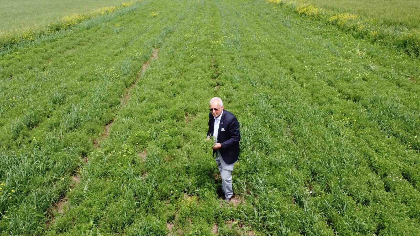SİİRT ZİRAAT ODASI BAŞKANI HÜSEYİN GÜNBAT, TÜM ÜRÜNLERDE BEKLENENİN ÜZERİNDE
