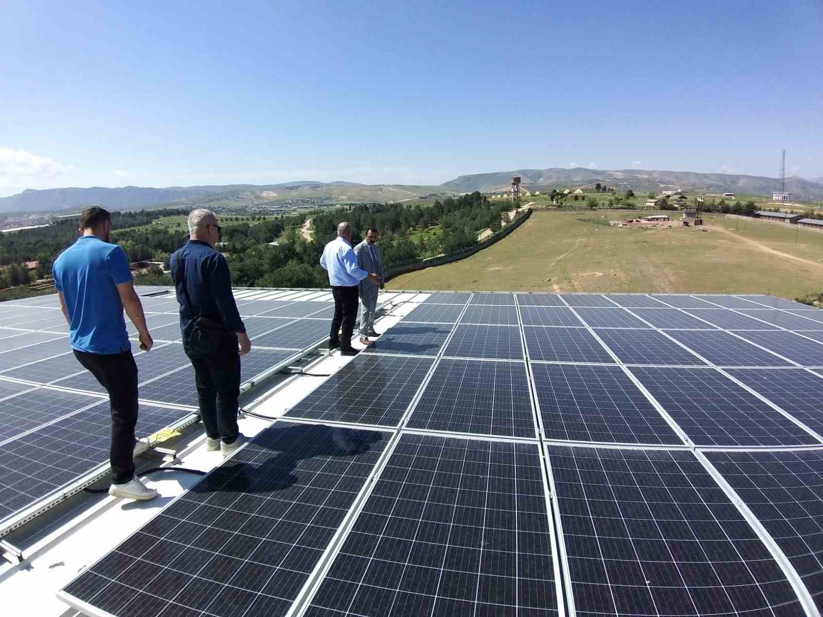 SİİRT'TE KIRSAL KALKINMA YATIRIMLARININ DESTEKLENMESİ PROGRAMI ÇERÇEVESİNDE YÜZDE 50 HİBE