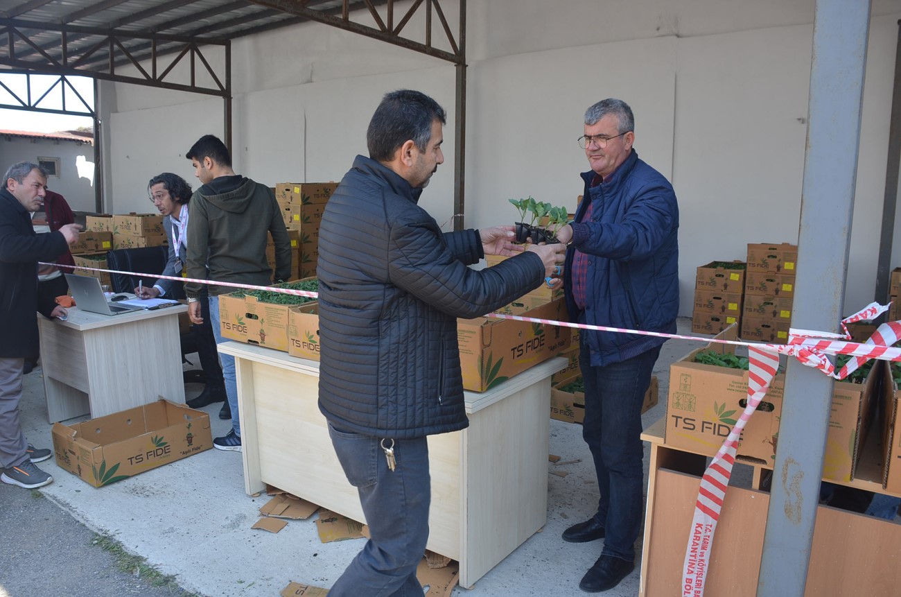 TARIM VE ORMAN BAKANLIĞI BİTKİSEL ÜRETİM GENEL MÜDÜRLÜĞÜ’NÜN DESTEKLERİYLE, SİNOP’TA