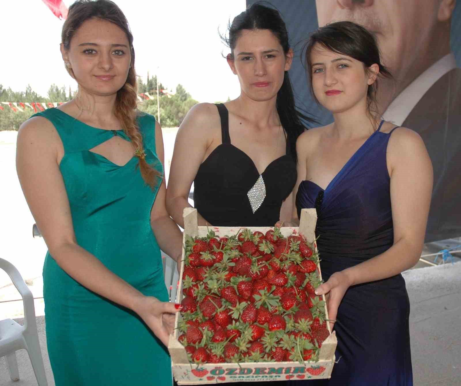 UŞAK’IN SİVASLI İLÇESİNDE HER YIL YAPILAN GELENEKSEL ÇİLEK KÜLTÜR VE