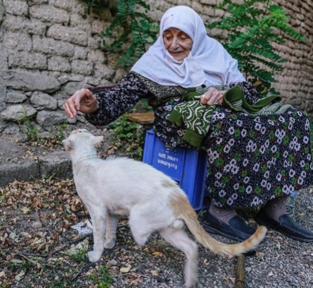 SOKAK KEDİLERİ ÖKSÜZ KALDI