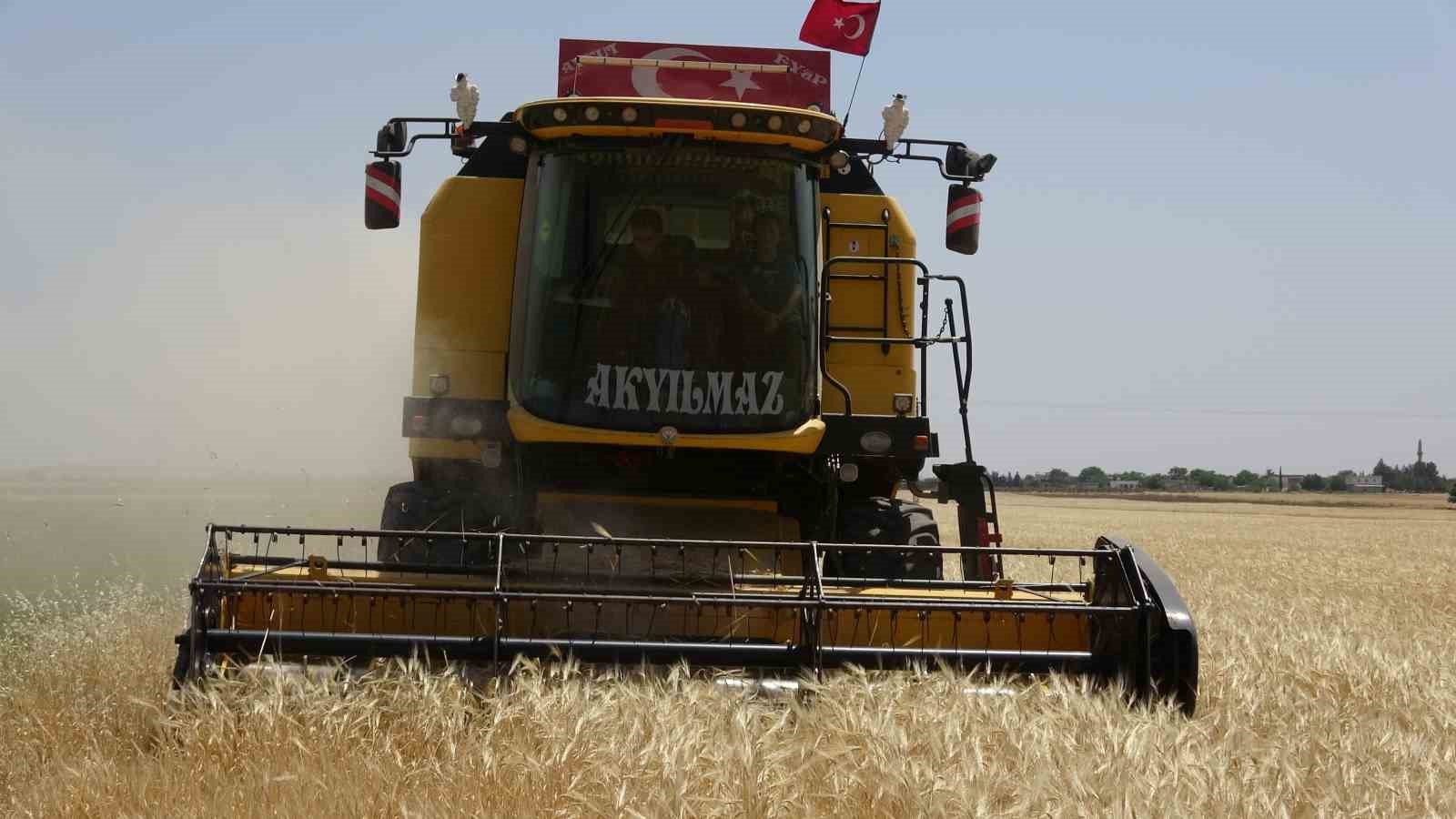 KİLİS VE İLÇELERİNDE 2023 YILI HUBUBAT HASADI BAŞLADI.