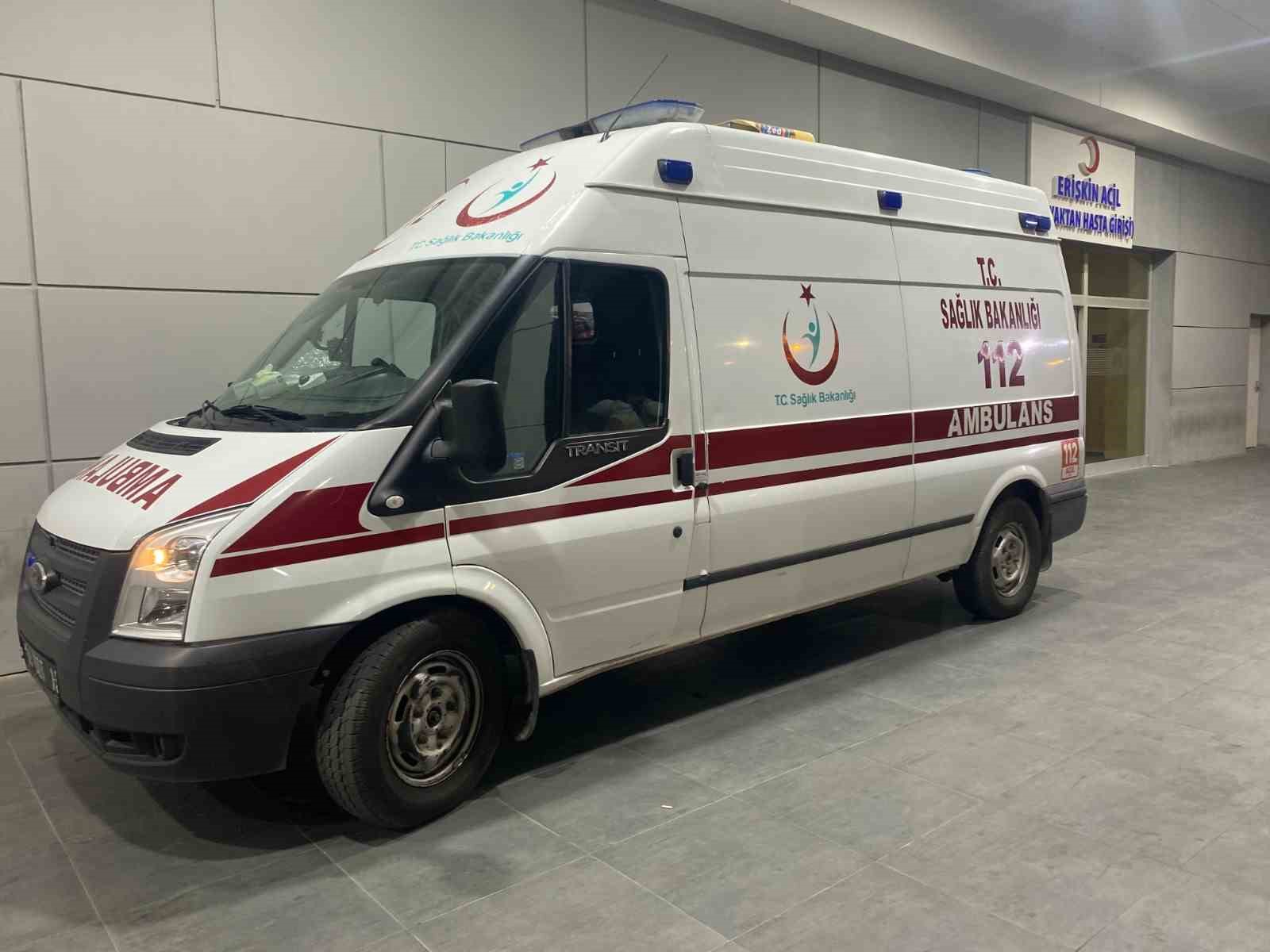 AYDIN'IN KÖŞK İLÇESİNDE TARLADA ÇALIŞTIĞI SIRADA YILANIN SOKTUĞU ÇİFTÇİ AMBULANSLA