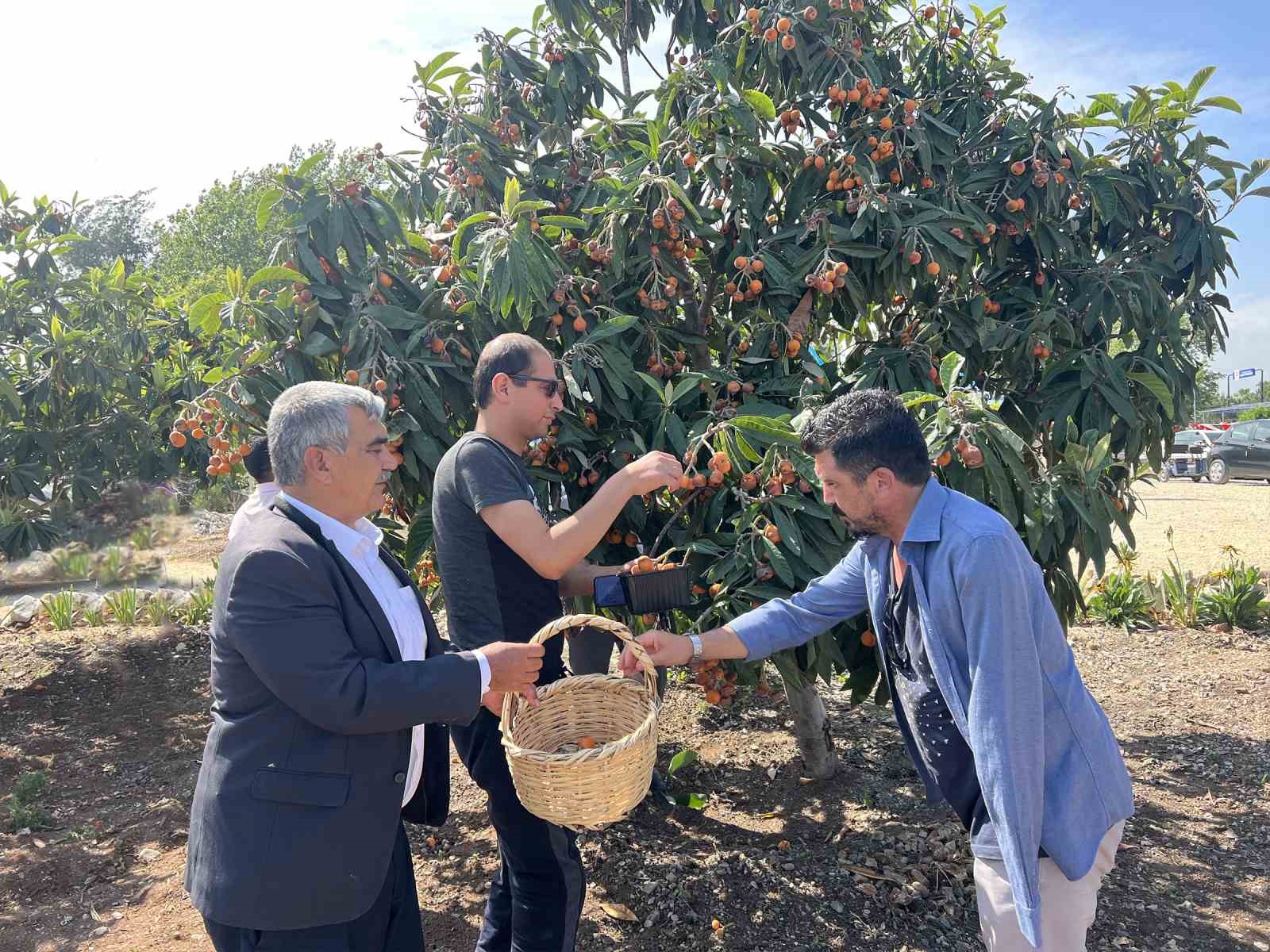MERSİN'İN TARSUS İLÇE BELEDİYESİ ŞELALE MEVKİİNDE BULUNAN ENGELSİZ TARIM ALANINDA