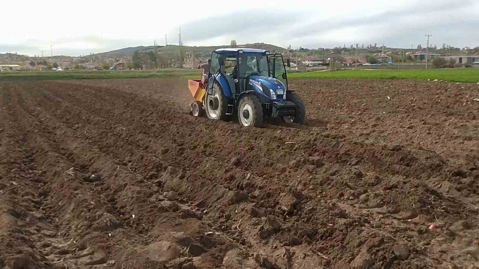 SİVAS’TA PATATES EKİM SEZONUNUN AÇILMASIYLA BİRLİKTE TOHUMLUK PATATESLER TOPRAKLA BULUŞTU.