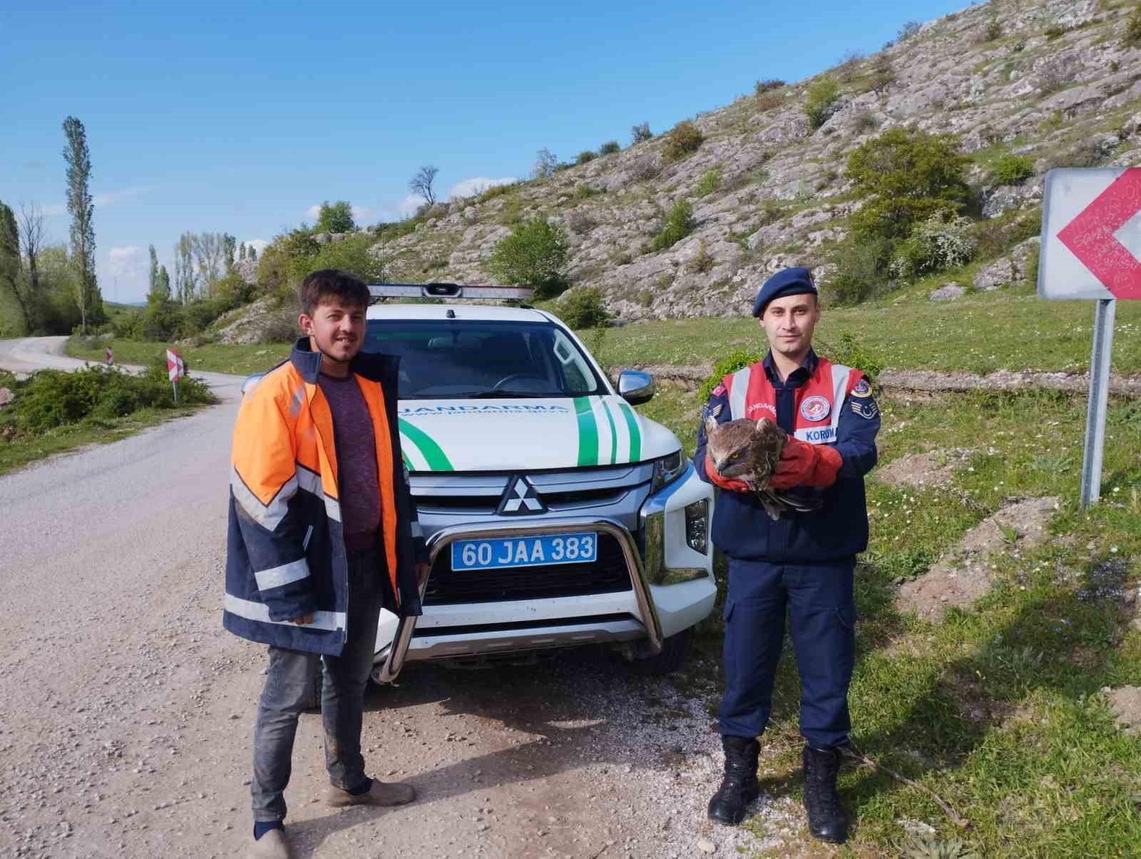 TOKAT'TA VATANDAŞLAR TARAFINDAN YARALI OLARAK BULUNAN KARTAL JANDARMA EKİPLERİ TARAFINDAN