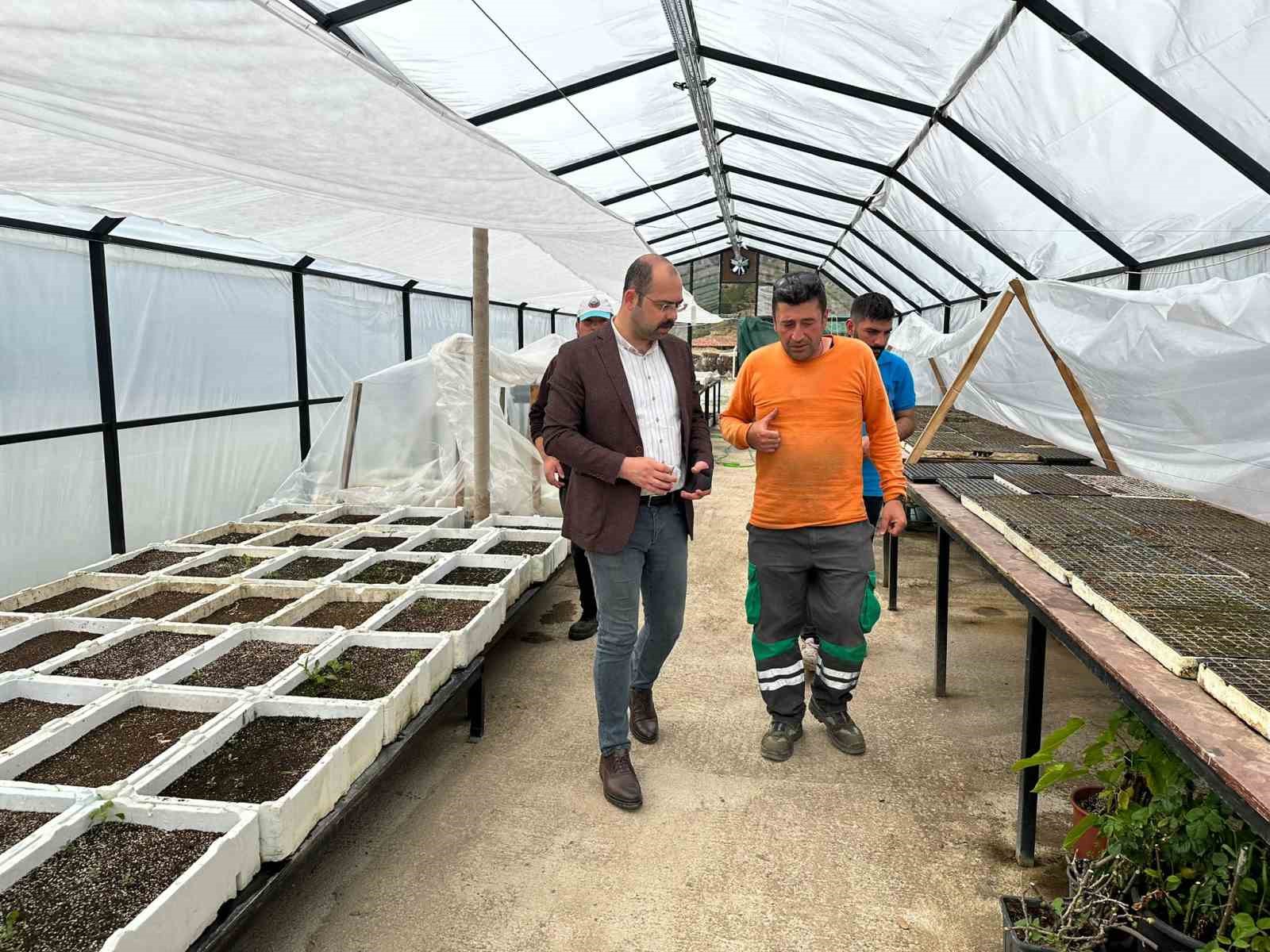 TOSYA BELEDİYESİ İLÇEYİ BOTANİK BAHÇESİ GÜZELLİĞİNE KAVUŞTURACAK