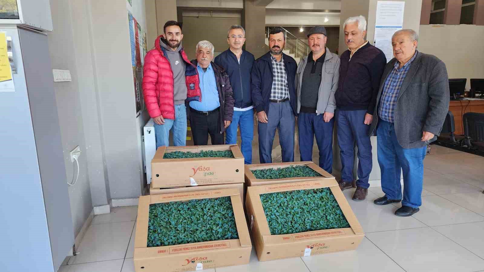 KASTAMONU'NUN TOSYA İLÇESİNDE, ATIL VAZİYETTEKİ ARAZİLERİN TARIMA KAZANDIRILMASI AMACIYLA, 69
