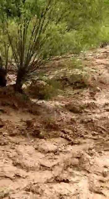 TUNCELİ’NİN ÇEMİŞGEZEK İLÇESİNDE SAĞANAK YAĞIŞ NEDENİ DERE TAŞTI.