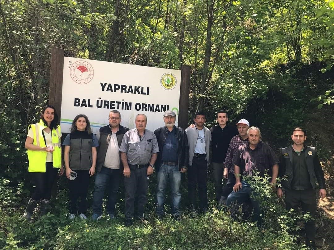 TÜRKELİ'DE 'AVCI BÖCEKLER' İŞ BAŞINDA TÜRKELİ ORMAN İŞLETME MÜDÜRLÜĞÜNCE, İLÇEYE