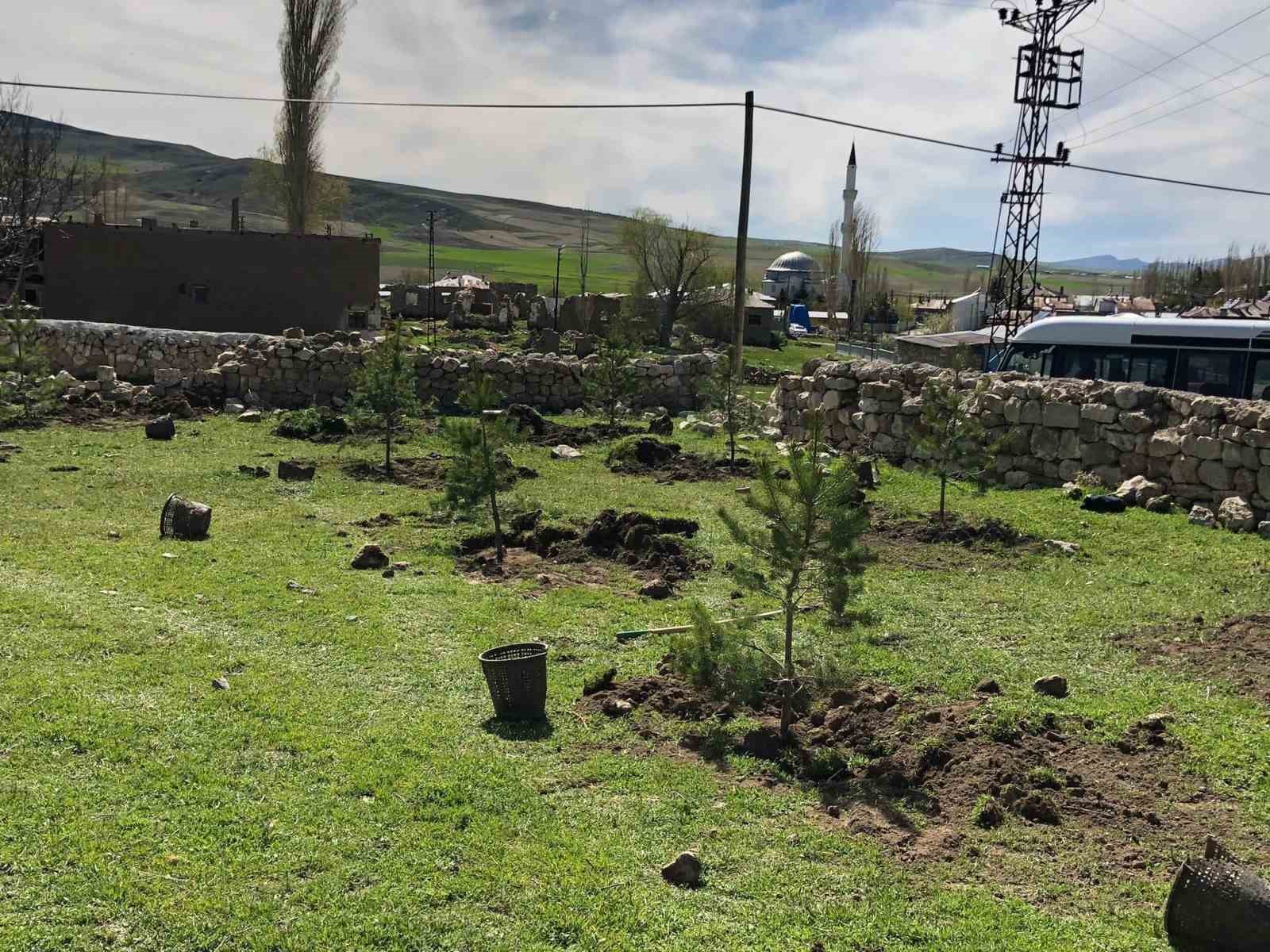 ULAŞ’A 8 BİN ÇAM FİDANI DİKİLDİ