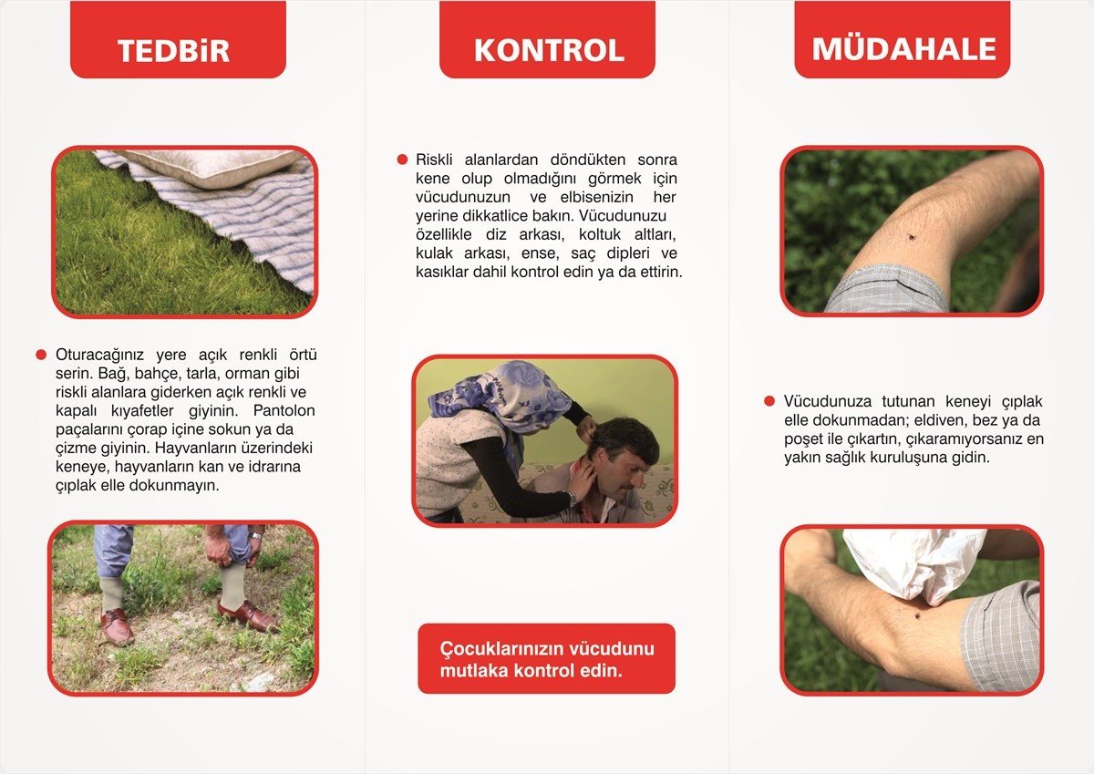İLKBAHAR VE YAZ MEVSİMLERİNİN GELMESİYLE BİRLİKTE KENELERİN POPÜLASYONUNDA ARTIŞ YAŞANIYOR.