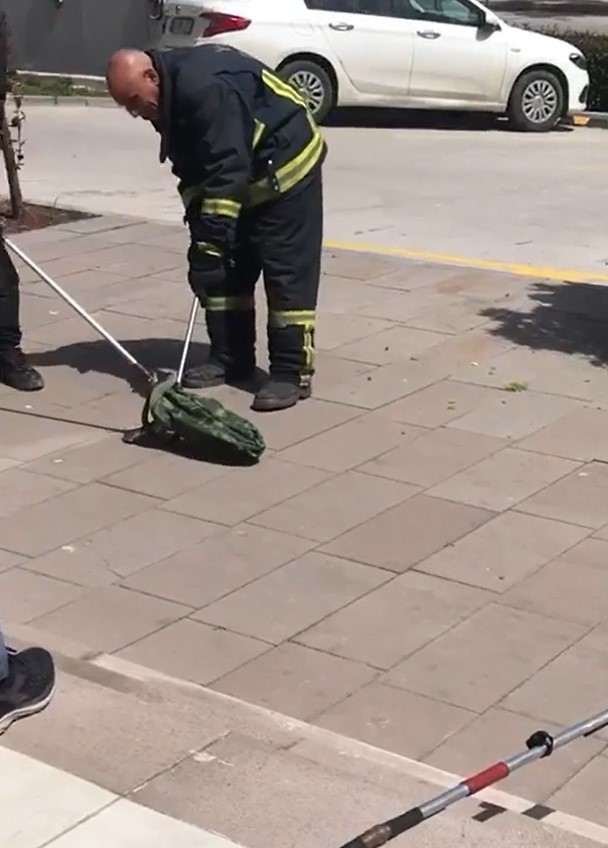 YALOVA’DA BİR ALIŞVERİŞ MERKEZİNİN ÖNÜNDE GÖRÜLEN YILAN, ÇIKTIĞI AĞAÇTA İTFAİYE