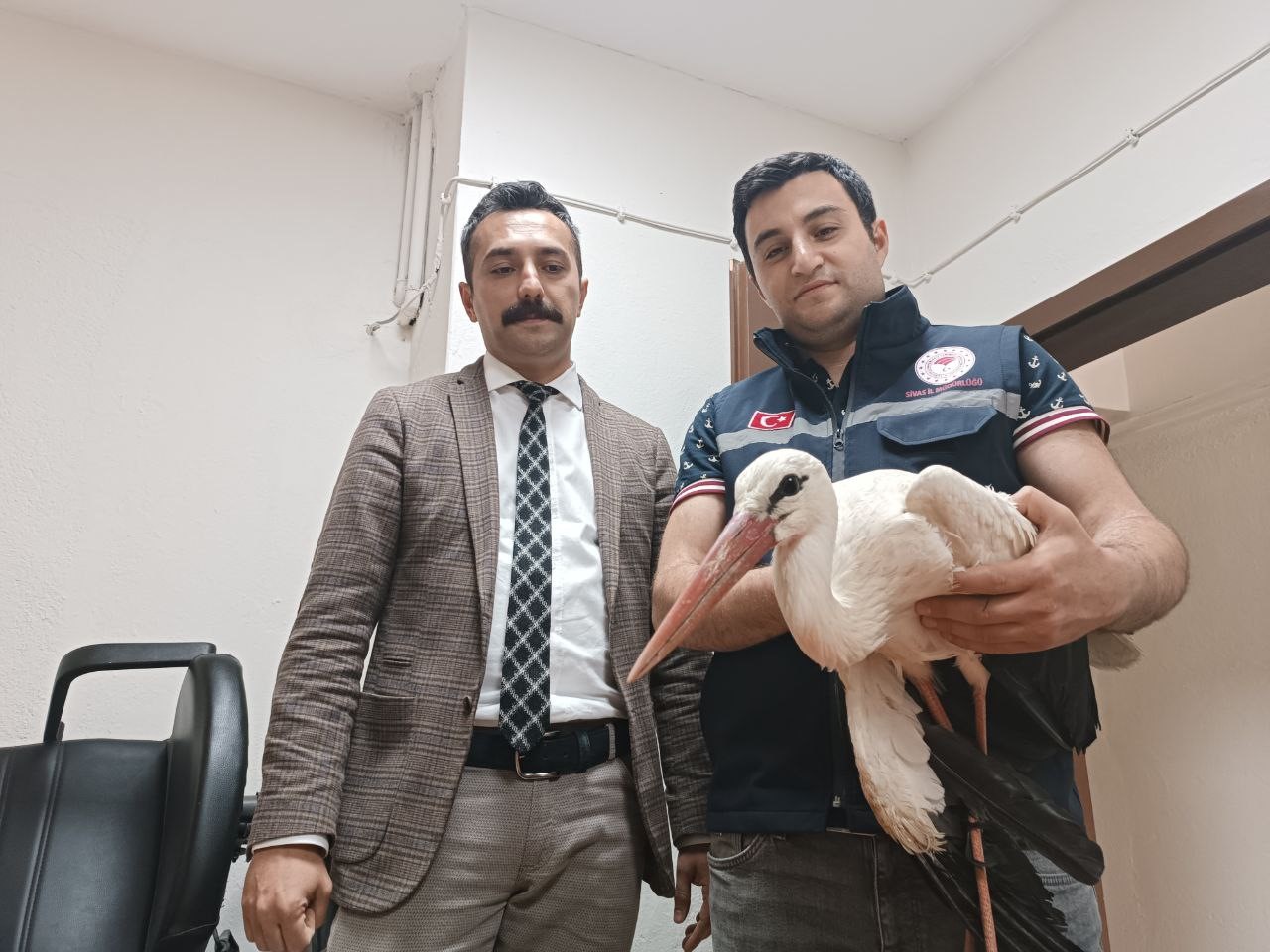 DOĞADA YARALI HALDE BULUNAN LEYLEK GEMEREK İLÇE TARIM MÜDÜRLÜĞÜNE TESLİM